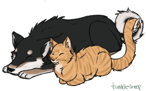 sheeburritocatloafcolor.png
