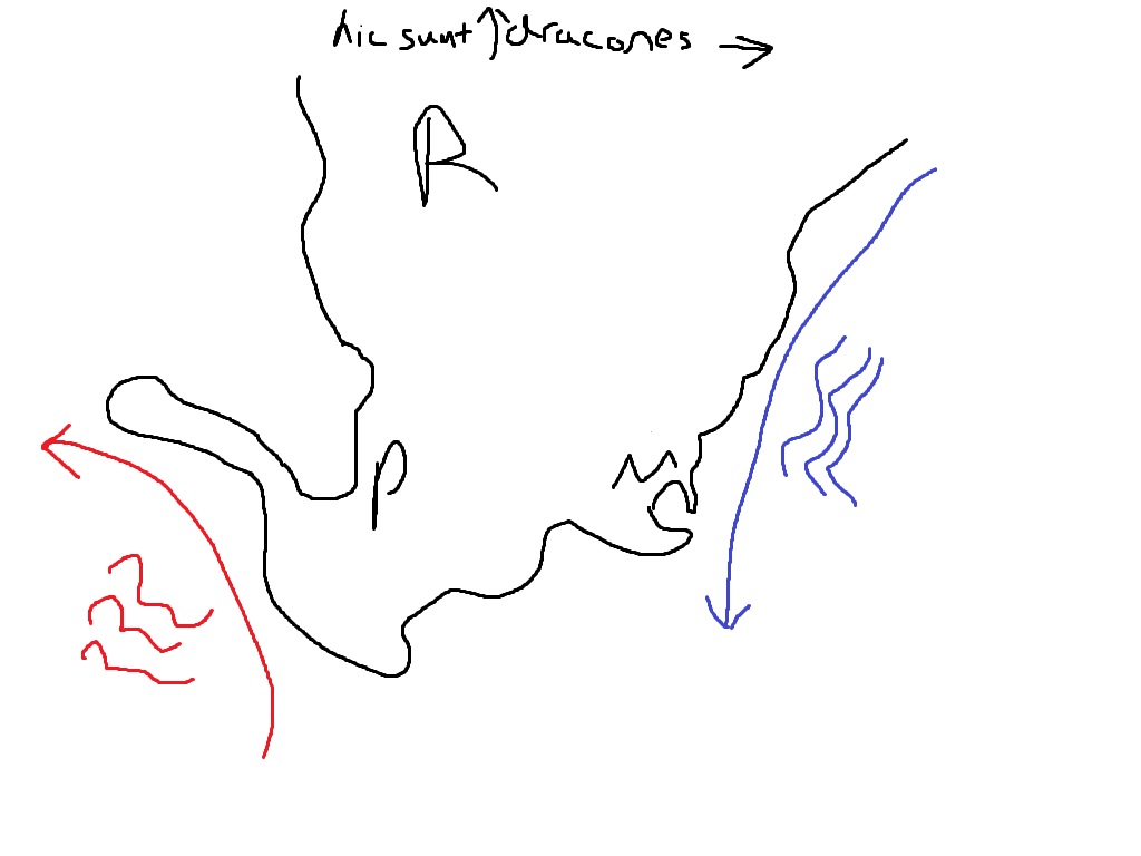 penis.jpg