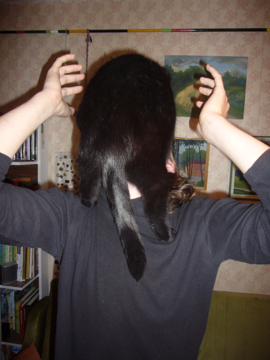 headcatzombie.png