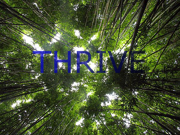 THRIVE LOGO.jpg