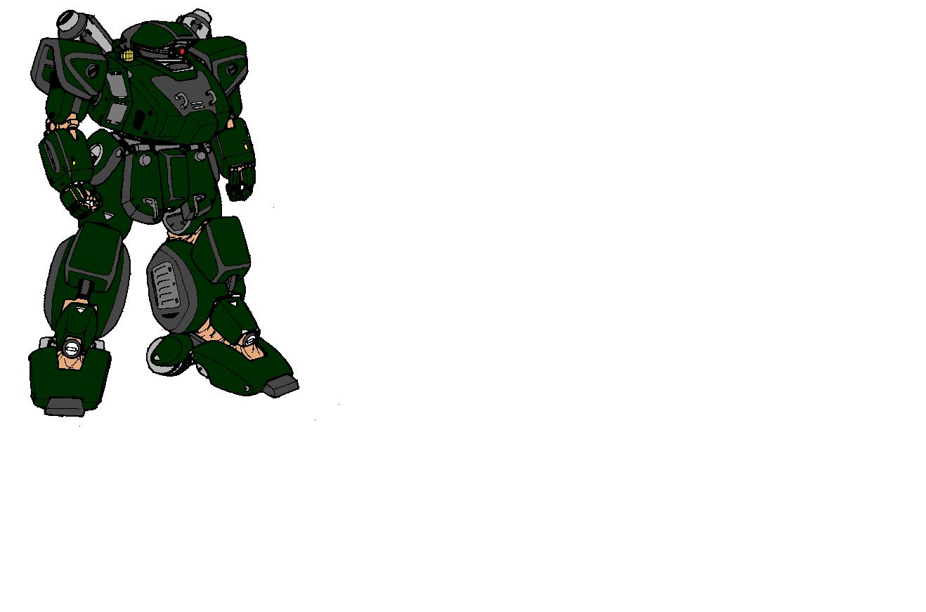 Tiger Custom.jpg