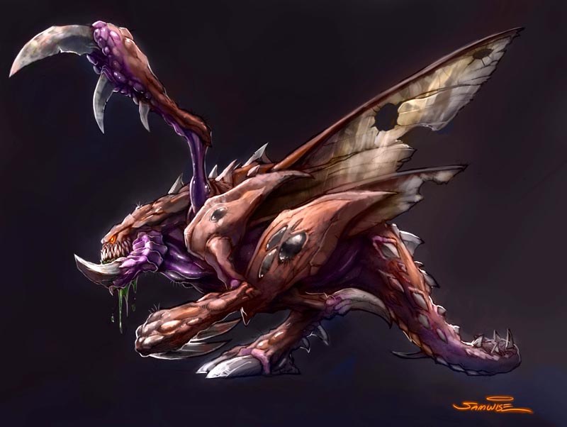 zerg.jpg