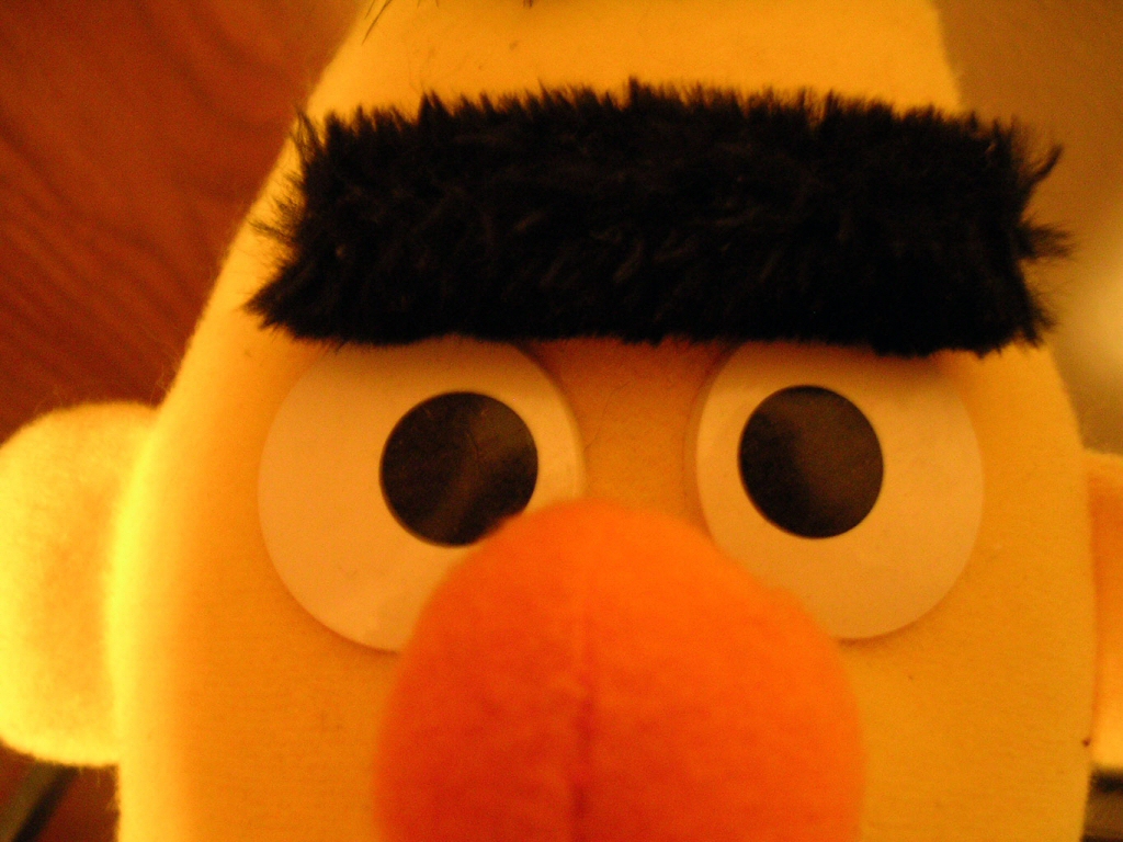 Bert Serious.jpg