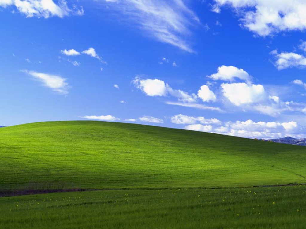 Bliss Standard.jpg