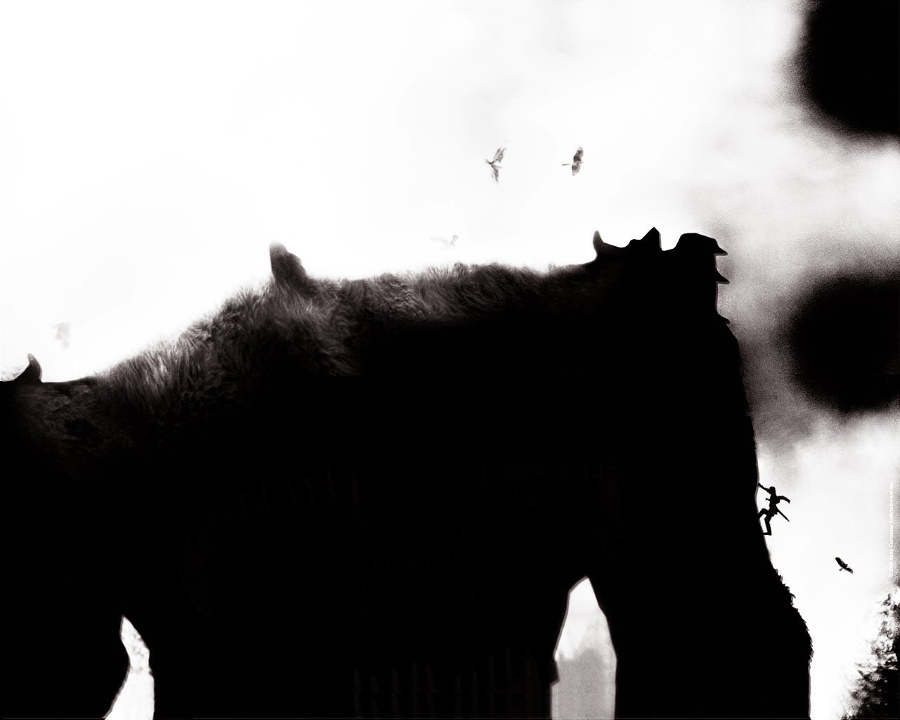 Colossus 3.jpg