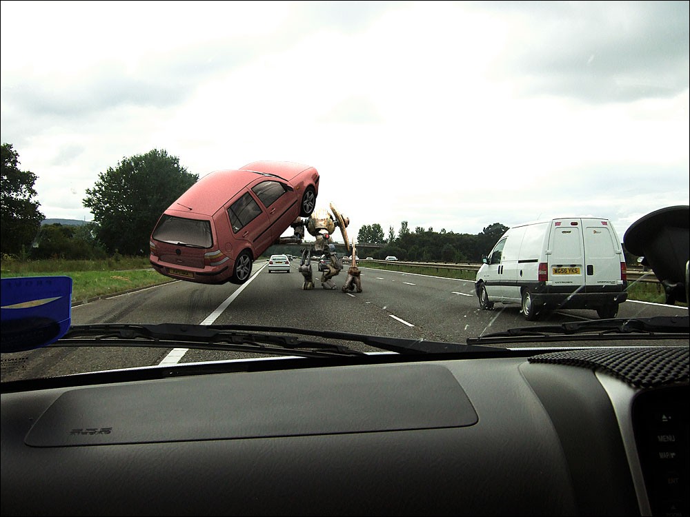 Dog Car.jpg
