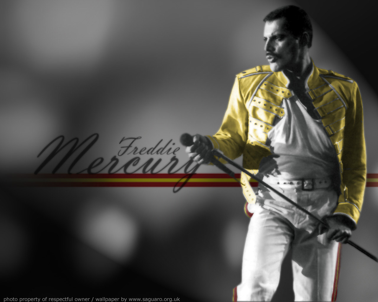 Freddie Mercury.jpg