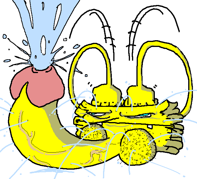 avatarcandidate6.png