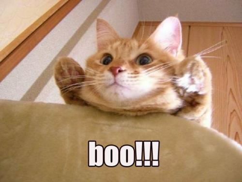 boo.jpg