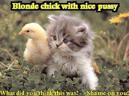 blonde_chick.jpg