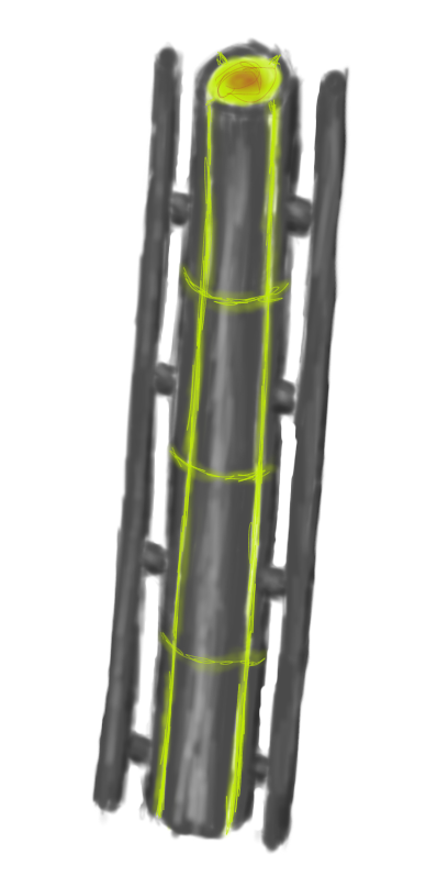 plateswtf.png