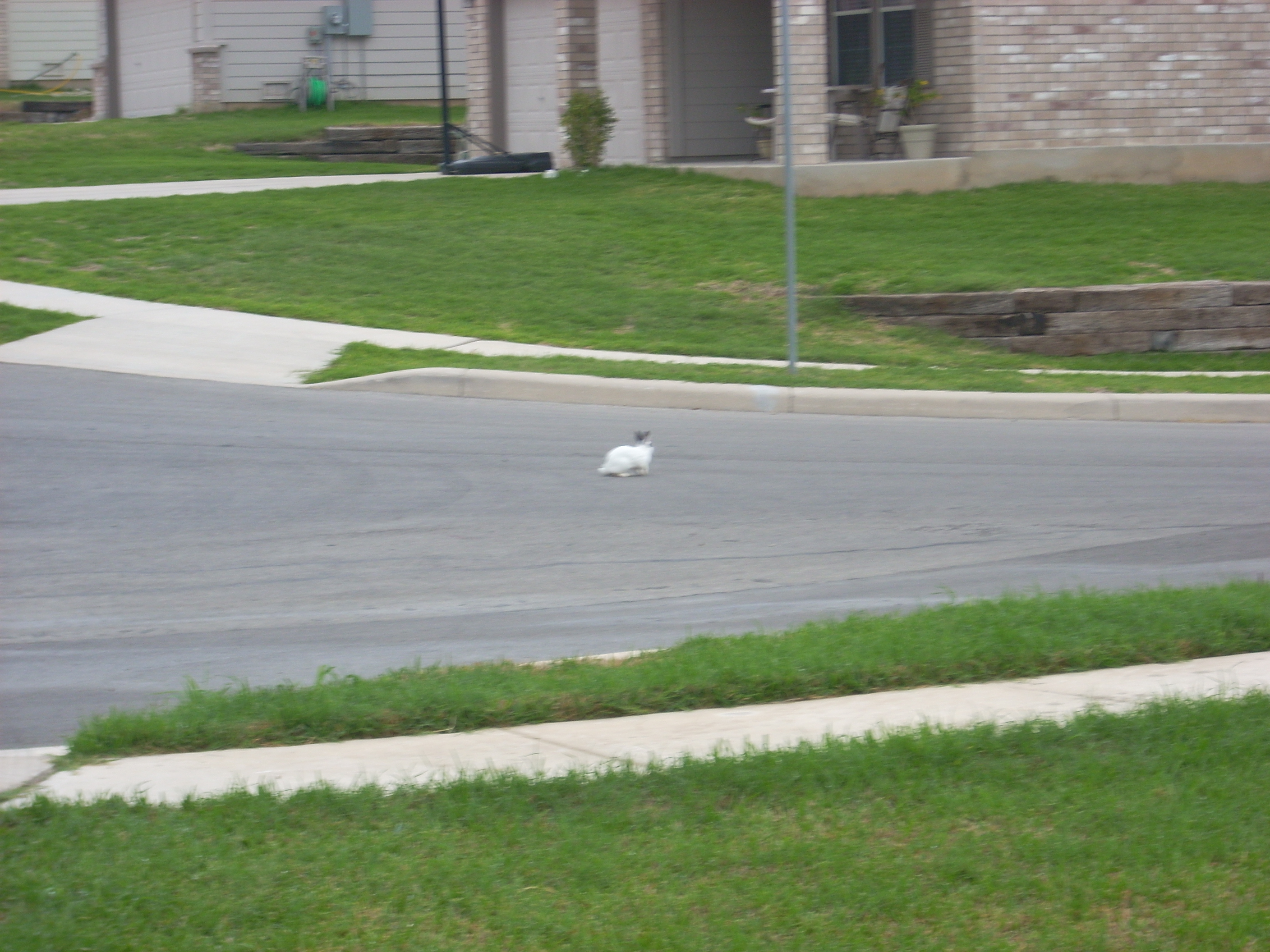 DSCN0469.JPG