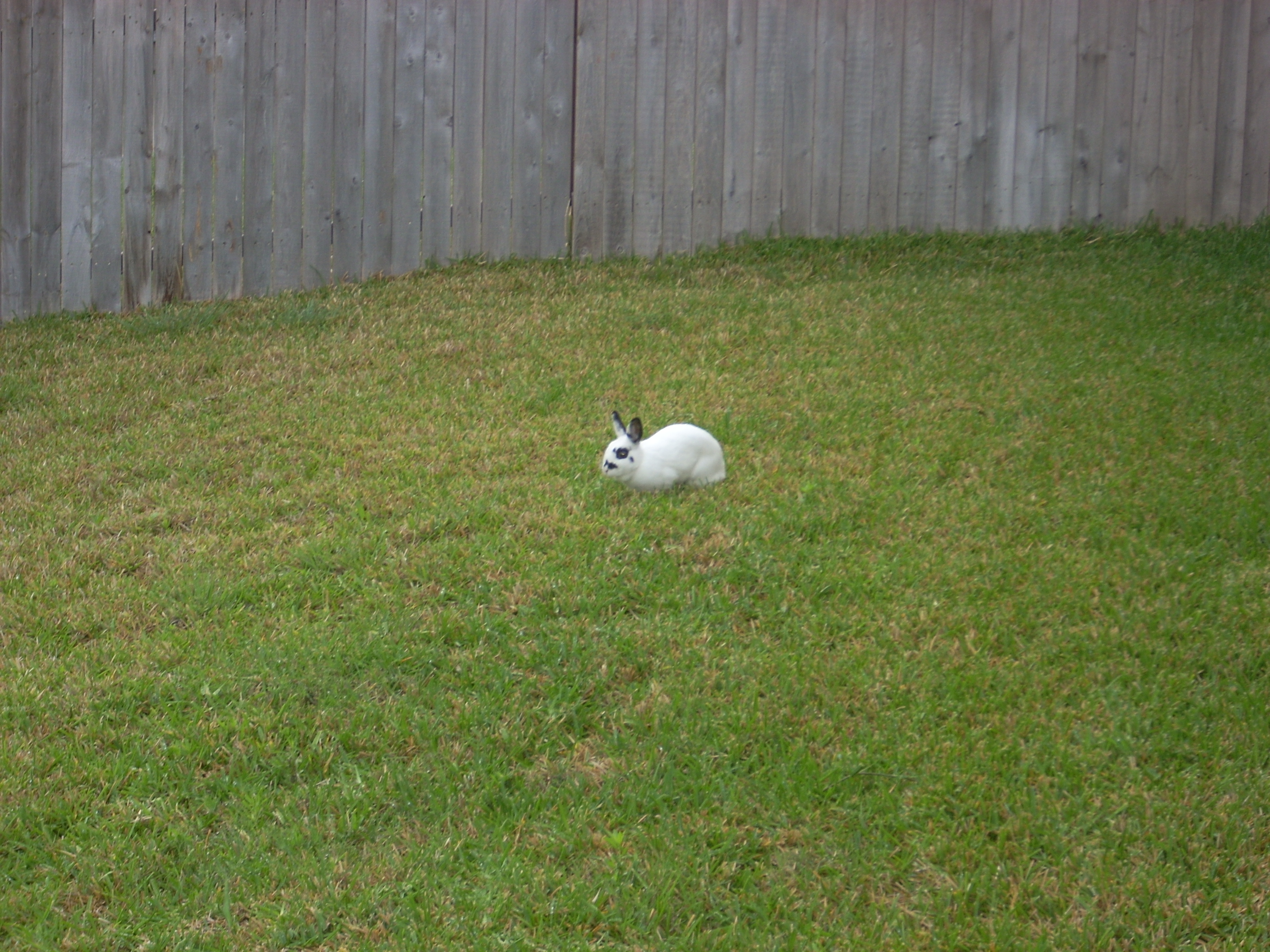 DSCN0472.JPG