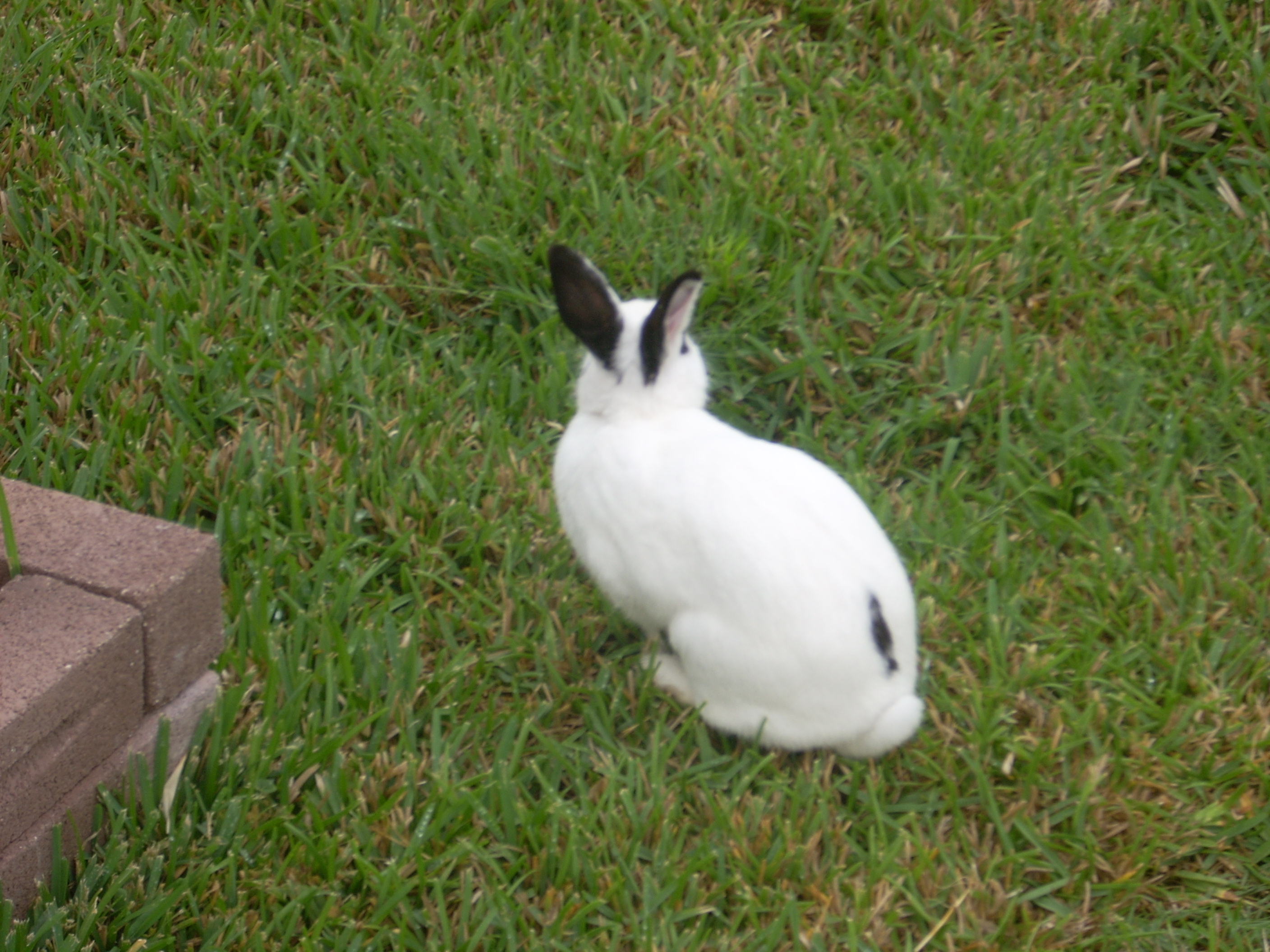 DSCN0473.JPG