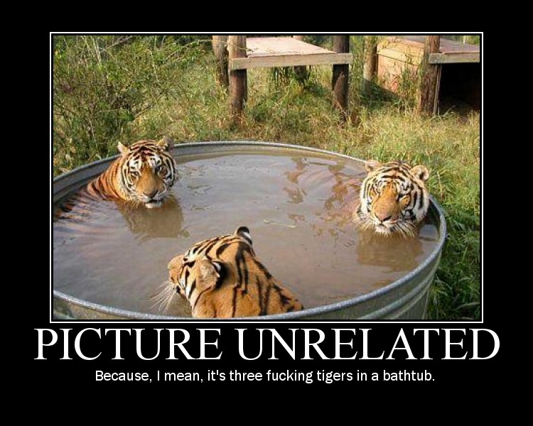 tigers.jpg