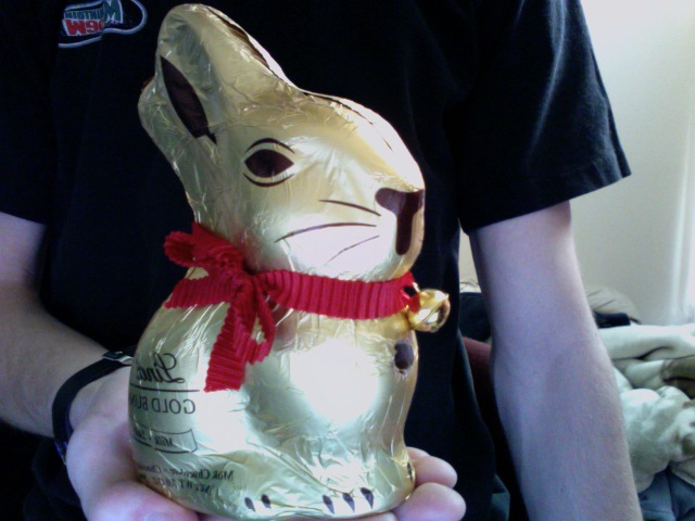HollowBunny.jpg