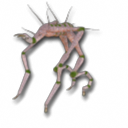 What.png