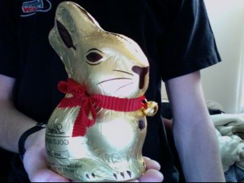 HollowBunny.jpg