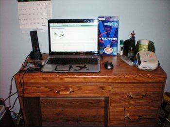 100_0087.JPG