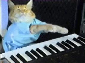 keyboardcat redux.JPG