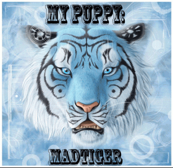 bluetiger-copy.gif