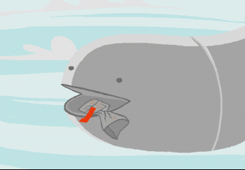 03.gif