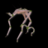 What.png
