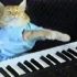 keyboardcat redux.JPG