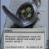 Amulet of Vigor.png
