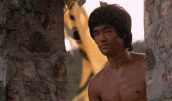 bruceleeapproves.gif