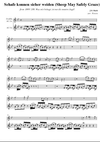 BWV2080001.jpg