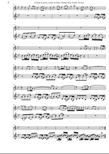 BWV2080002.jpg