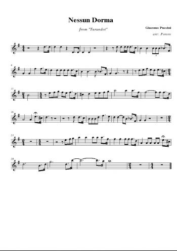 nessun dorma.jpg