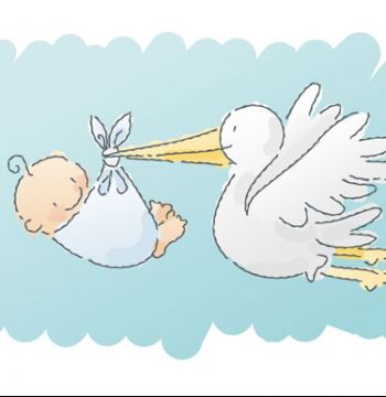 stork.jpg