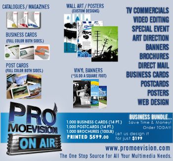 PromoeVision Flier.jpg