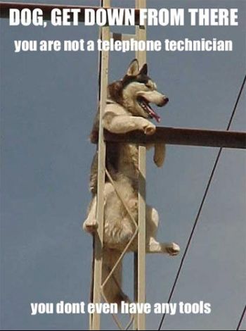 24907_1342995267209_1601066872_829693_1577861_n.jpg