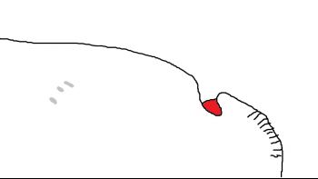 NotToScale.jpg