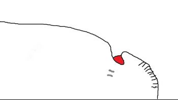 NotToScale2.jpg