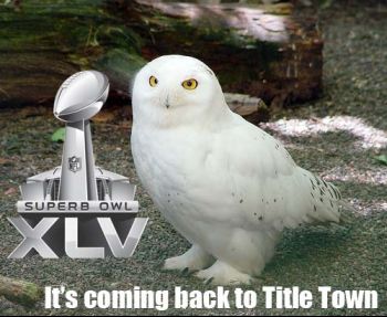 superbowl.jpg
