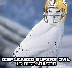 superbowldispleased.jpg