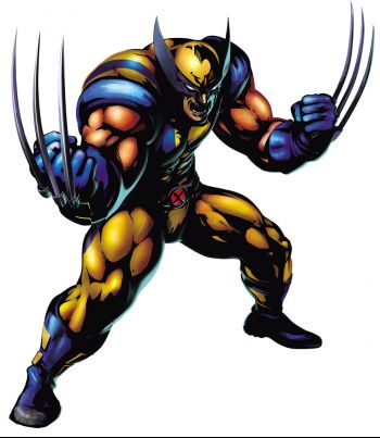 mvc3-wolverine.jpg