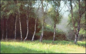 forest.jpg