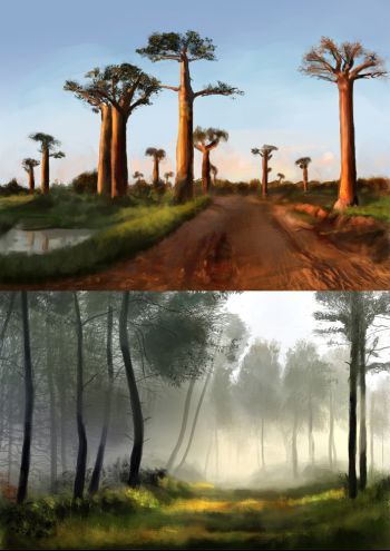 forests.jpg