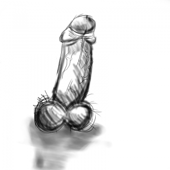 turbancactus.png