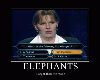 118636433461.gif
