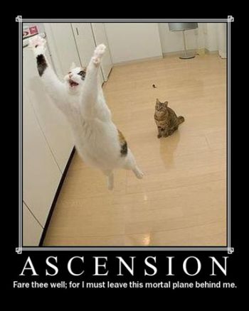 ascensiongh1.jpg