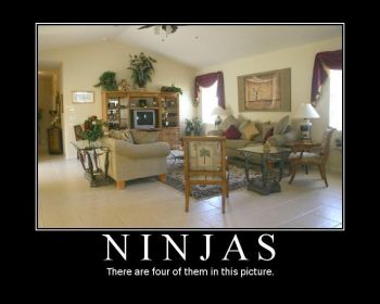 ninjayl5.jpg