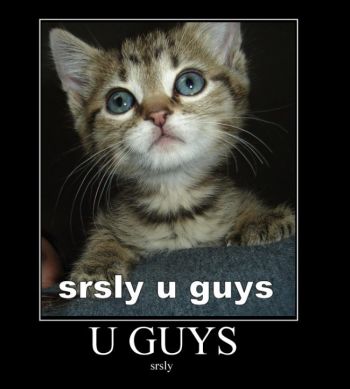 srslykitten.jpg
