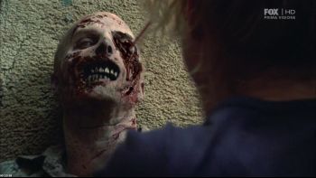 thewalkingdead2x01strad.jpg