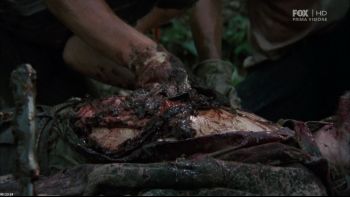 thewalkingdead2x01strad2.jpg